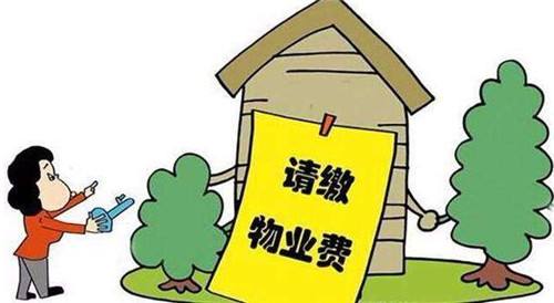 缴纳物业费