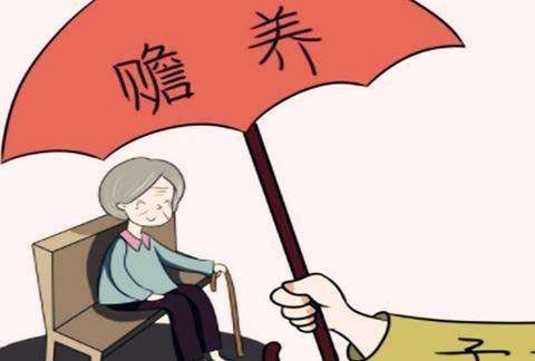 赡养老人